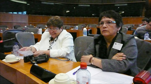 Mapuche EU