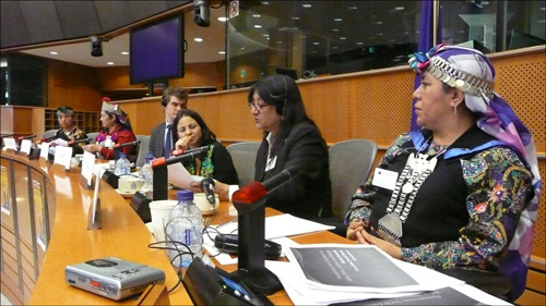 Mapuche EU