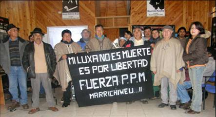 Mapuches se unen para movilizaciones