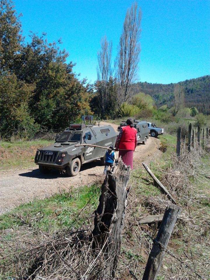 300 Carabineros de Chile dejan Mapuches heridos y animales muertos 18