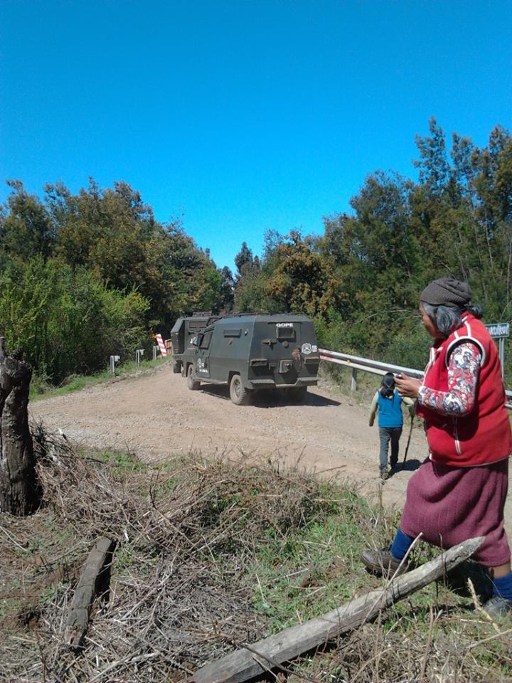 300 Carabineros de Chile dejan Mapuches heridos y animales muertos 19