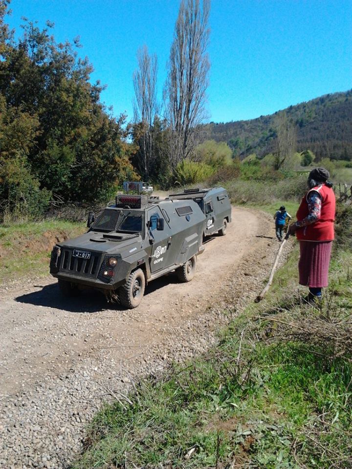 300 Carabineros de Chile dejan Mapuches heridos y animales muertos 21