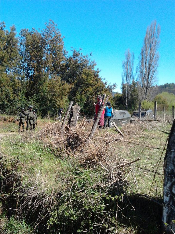 300 Carabineros de Chile dejan Mapuches heridos y animales muertos 22