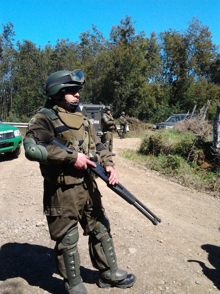 300 Carabineros de Chile dejan Mapuches heridos y animales muertos 2