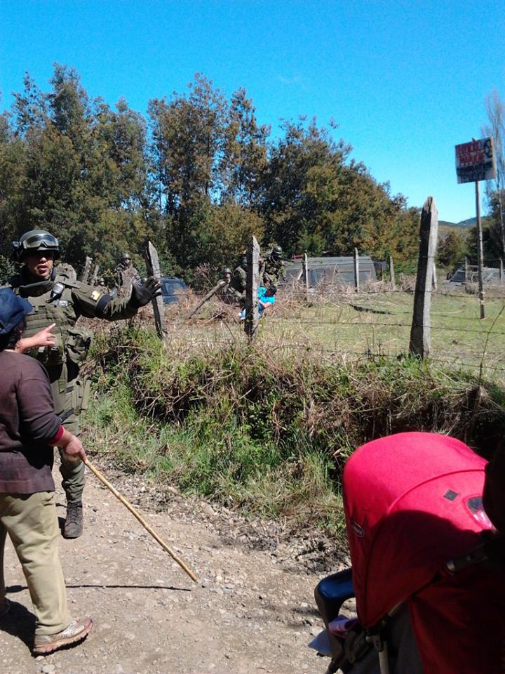 300 Carabineros de Chile dejan Mapuches heridos y animales muertos 24