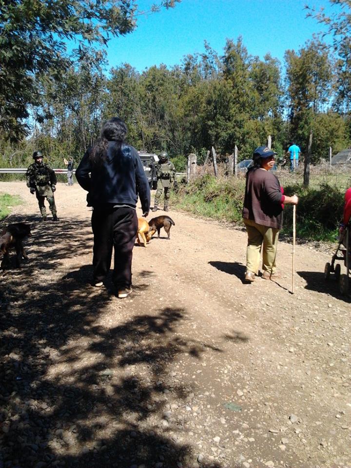 300 Carabineros de Chile dejan Mapuches heridos y animales muertos 25