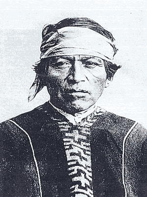 Mapuche lonko