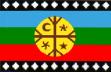Mapuche vlag