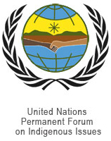 Mapuche at the UN
