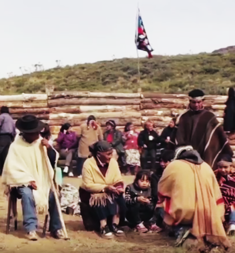Film about the Mapuche